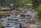 Wisatawan bermain air di Sungai Cipasauran, Cinangka, Kabupaten Serang, Banten, Senin (9/6/2025). Wakil Menteri Investasi dan Hilirisasi/Wakil Kepala Badan Koordinasi Penanaman Modal (BKPM) Todotua Pasaribu menyebut realisasi investasi nasional mencapai Rp465,2 triliun pada kuartal I 2025, dengan sektor jasa termasuk pariwisata sebagai salah satu kontributor utama dengan nilai mencapai Rp41 triliun. ANTARA FOTO/Angga Budhiyanto/gp
