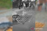 Nahas! Ibu dan bayi meninggal usai ditabrak truk di Katingan