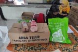 Pemkab Maros alokasikan Rp18 miliar guna turunkan stunting