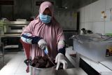 Pelaku Usaha Mikro Kecil Menengah (UMKM) Masyrifah Hidayati Nur membuat coklat tempe di rumah produksi Awicho, Danguk, Ngawi, Jawa Timur, Selasa (10/6/2025). Sebanyak 30 kilogram atau sekitar 900 batang coklat tempe diproduksi setiap hari di UMKM rumahan tersebut untuk kemudian diekspor ke Malaysia, Hongkong, Singapura maupun pasar domestik melalui pasar digital dengan harga Rp10 ribu hingga Rp90 ribu menurut ukuran serta varian rasa. Antara Jatim/Ari Bowo Sucipto/um