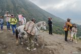 Pemilik kuda menawarkan jasa sewa menuju Gunung Bromo di Kawasan Taman Nasional Bromo Tengger Semeru (TNBTS), Kabupaten Probolinggo, Jawa Timur, Selasa (10/6/2025). Balai Besar TNBTS menutup total aktivitas wisata kawasan wisata Gunung Bromo mulai 10 hingga 13 Juni 2025 untuk menghormati dan memberikan ruang bagi masyarakat Suku Tengger melaksanakan ritual tahunan Yadnya Kasada. Antara Jatim/Irfan Sumanjaya/um