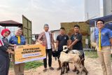 McDonald's Indonesia salurkan 76 hewan kurban ke lebih 40 wilayah di Indonesia