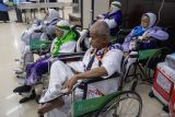Jamaah haji Embarkasi Padang dijadwalkan tiba di Tanah Air 12 Juni