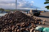 Pekerja mengangkut kelapa yang baru diturunkan dari kapal di Dermaga Pantai Marina Boom, Banyuwangi, Jawa Timur, Rabu (11/6/2025). Kapal tersebut melayani distribusi kebutuhan pokok ke sejumlah kepulauan Madura seperti Pulau Sapeken dan Raas dan sebaliknya kapal itu juga mengangkut hasil bumi dan laut seperti kelapa dan ikan ke Banyuwangi. Antara Jatim/Budi Candra Setya/um