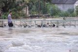 Warga bermain di jembatan yang terendam banjir di Jalan Raya Nyayat, Kecamatan Benjeng, Gresik, Jawa Timur, Selasa (10/6/2025). Banjir setinggi 50-100 cm akibat luapan Kali Lamong tersebut mengakibatkan 10 desa di Kecamatan Benjeng terendam banjir. ANTARA Jatim/Rizal Hanafi/mas.