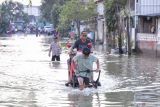Pengojek gerobak mengangkut sepeda motor melintasi banjir di Jalan Raya Nyayat, Kecamatan Benjeng, Gresik, Jawa Timur, Selasa (10/6/2025). Banjir setinggi 50-100 cm akibat luapan Kali Lamong tersebut mengakibatkan 10 desa di Kecamatan Benjeng terendam banjir. ANTARA Jatim/Rizal Hanafi/mas.