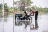 Warga mencuci motornya dengan memanfaatkan air banjir di Jalan Raya Benjeng, Kecamatan Benjeng, Gresik, Jawa Timur, Selasa (10/6/2025). Banjir setinggi 50-100 cm akibat luapan Kali Lamong tersebut mengakibatkan 10 desa di Kecamatan Benjeng terendam banjir. ANTARA Jatim/Rizal Hanafi/mas.
