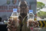 Petugas Balai Karantina Hewan, Ikan dan Tumbuhan Banten menunjukkan barang bukti saat rilis kasus penyelundupan benih bening lobster di Polresta Bandara Soekarno-Hatta, Kota Tangerang, Banten, Rabu (11/6/2025). Kepolisian menetapkan tujuh orang tersangka pada kasus penyelundupan 171.880 ekor benih bening lobster melalui Terminal Kargo Bandara Internasional Soekarno-Hatta yang ditujukan ke negara Singapura. ANTARA FOTO/Putra M. Akbar/gp