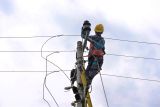 Idul Fitri 1446 H Catat Beban Puncak Tertinggi Dalam Sejarah Bagi PLN