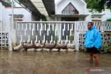 NTB perkuat desa dalam menghadapi perubahan iklim