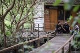 Wisatawan bersantai di kawasan Banyuurip Mangrove Center, Ujungpangkah, Gresik, Jawa Timur, Kamis (12/6/2025). Kawasan ekowisata mangrove dengan luas sekitar 32 hektar yang dikelola Badan Usaha Milik Desa (BumDes) setempat tersebut menjadi salah satu sumber penghasilan bagi desa dan UMKM sekitar. ANTARA Jatim/Rizal Hanafi/mas.