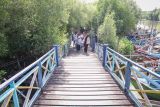 Wisatawan melintasi jembatan di Banyuurip Mangrove Center, Ujungpangkah, Gresik, Jawa Timur, Kamis (12/6/2025). Kawasan ekowisata mangrove dengan luas sekitar 32 hektar yang dikelola Badan Usaha Milik Desa (BumDes) setempat tersebut menjadi salah satu sumber penghasilan bagi desa dan UMKM sekitar. ANTARA Jatim/Rizal Hanafi/mas.
