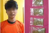 Polisi amankan remaja 18 tahun bawa tembakau tembakau gorila