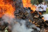 Personel Polda Aceh membakar barang bukti narkotika jenis ganja saat pemusnahan di Banda Aceh, Aceh, Kamis ( 12/6/2025). Polda Aceh memusnahkan barang bukti tindak kejahatan narkotika jenis ganja sebanyak 640 kilogram, sabu sebanyak 108 kilogram dan kokain sebanyak 25 kilogram hasil pengungkapan kasus Januari-Mei 2025, serta mengamankan empat tersangka dari sindikat jaringan internasional. ANTARA FOTO/Ampelsa/rwa. 