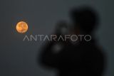 Warga mengambil gambar fenomena bulan purnama penuh stroberi yang terlihat di langit Malang, Jawa Timur, Kamis (12/6/2025). Nama Supermoon Stroberi berasal dari masyarakat suku asli Amerika Algonquin di AS timur laut dan Kanada Timur yang mengacu pada waktu panen stroberi dan diperkirakan akan terjadi kembali pada tahun 2043. ANTARA FOTO/Muhammad Mada/bar