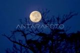 Fenomena bulan purnama penuh stroberi terlihat di langit Malang, Jawa Timur, Kamis (12/6/2025). Nama Supermoon Stroberi berasal dari masyarakat suku asli Amerika Algonquin di AS timur laut dan Kanada Timur yang mengacu pada waktu panen stroberi dan diperkirakan akan terjadi kembali pada tahun 2043. ANTARA FOTO/Muhammad Mada/bar
