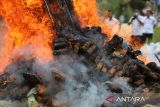 Personil Polda Aceh membakar barang bukti narkotika jenis ganja saat pemusnahan di Banda Aceh, Kamis ( 12/6/2025). Polda Aceh memusnahkan barang bukti tindak kejahatan narkotika jenis sabu sebanyak 108 kilogram, ganja sebanyak 640 kilogram, dan kokain  sebanyak 25 kilogram hasil pengungkapan kasus Januari-Mei 2025 serta mengamankan empat tersangka sebagai sindikat jaringan  inter nasional. ANTARA FOTO/Ampelsa.