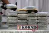 Personil Polda Aceh menata narkotika jenis kokain bersama barang bukti lainnya, ganja dan sabu sebelum pemusnahan  di Banda Aceh, Kamis ( 12/6/2025). Polda Aceh memusnahkan barang bukti tindak kejahatan narkotika jenis sabu sebanyak 108 kilogram, ganja sebanyak 640 kilogram, dan kokain  sebanyak 25 kilogram hasil pengungkapan kasus Januari-Mei 2025 serta mengamankan empat tersangka sebagai sindikat jaringan  internasional. ANTARA FOTO/Ampelsa.