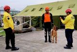 SAR Natuna diperkuat dengan 2 pawang anjing pelacak K9