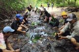 DLH Parigi-Moutong puji aksi FKPAPT tanam 1.000 mangrove
