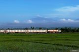 Kereta api melintas dengan latar belakang Gunung Raung mengeluarkan asap solfatara terlihat dari Kabat, Banyuwangi, Jawa Timur, Sabtu (14/6/2025). Pos Pengamatan Gunung Api (PPGA) Raung mengamati telah terjadi 5 kali letusan dengan kolom asap setinggi 300-1.000 meter diatas puncak condong ke arah selatan, barat daya dan barat. ANTARA Jatim/Budi Candra Setya/mas.