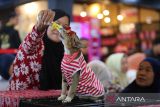 Peserta memberikan makanan kepad a kucingnya sebelum mengikuti  lomba peragaan busana dan lomba kucing tampan/cantik  di Banda Aceh, Aceh, Minggu ( 15/6/2025).  Kegiatan lomba busana kucing  dan lomba kucing tampan/cantik yang diikuti sekitar 80 peserta dari sejumlah daerah bertema 