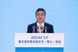 Indonesia, Malaysia discuss RCEP, bilateral ties: minister