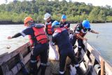 PT Timah tebar ratusan kepiting bakau di Karimub