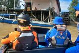 Warga diterkam buaya di Berau, pencarian dilanjutkan