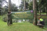 Viral kasus mesum di Taman Langsat, ini tanggapan Gubernur Jakarta