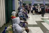 Mayoritas jamaah Embarkasi Batam wafat akibat penyakit bawaan