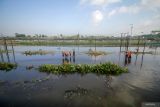 Petugas memeriksa rel kereta api yang terendam di samping Jalan Raya Porong, Sidoarjo, Jawa Timur, Selasa (17/6/2025). Curah hujan yang tinggi sejak Senin (16/6) malam mengakibatkan banjir yang merendam rel kereta api dan jalan raya Porong setinggi 50-70 cm. Antara Jatim/Umarul Faruq
