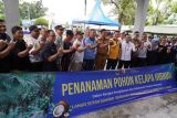 PLN UID Sumbar kolaborasi bersama TNI AU dan Forum BUMN laksanakan penghijauan di Lanud Tabing