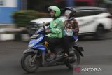 Pengendara ojek daring membawa penumpang melintas di Jalan Veteran, Kota Serang, Banten, Kamis (19/6/2025). Direktur Kepesertaan BPJS Ketenagakerjaan Pramudya Iriawan Buntoro mengatakan sebanyak 320 ribu mitra pengemudi ojek daring dari berbagai platform telah terdaftar sebagai peserta per Mei 2025, serta mendorong agar para mitra pengemudi dapat mendaftarkan diri demi mendapatkan perlindungan kerja dan jaminan sosial. ANTARA FOTO/Angga Budhiyanto/gp