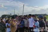 1.019 hektare lahan pertanian di Lampung jadi contoh 