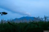 Kolom abu erupsi Gunung Raung terlihat dari Pos Pengamatan Gunung Api (PPGA) Raung Songgon, Banyuwangi, Jawa Timur, Jumat (20/6/2025). Petugas PPGA Raung mencatat terjadi enam kali letusan dengan ketinggian kolom abu mencapai 1.000 hingga 2.000 meter di atas puncak mengarahkan ke selatan. ANTARA Jatim/Budi Candra Setya/mas.