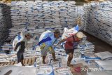 Pekerja mengangkut pupuk sebelum didistribusikan di gudang Lini III Pupuk Indonesia, Awipari, Kota Tasikmalaya, Jawa Barat, Jumat (20/6/2025). Pupuk Indonesia memastikan stok pupuk bersubsidi untuk memenuhi kebutuhan petani pada musim tanam kedua tahun 2025 di wilayah Jawa Barat dalam kondisi aman dengan ketersedian stok mencapai 42 ribu ton pupuk urea dan 35 ribu ton pupuk NPK. ANTARA FOTO/Adeng Bustomi/agr
