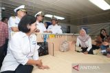 Kuota stimulus ekonomi diskon tiket Kapal Pelni capai 40 persen