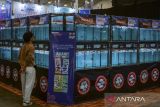 Pengunjung melihat ikan hias saat pameran Nusatic Nusapet 2025 di ICE BSD, Kabupaten Tangerang, Banten, Jumat (20/6/2025). Pameran yang menghadirkan ikan hias, tanaman air dan hewan peliharaan tersebut sebagai upaya mengembangkan industri akuatik lokal ke pasar dunia dan menjadikan Indonesia sebagai eksportir ikan hias nomor satu di dunia. ANTARA FOTO/Putra M. Akbar/gp