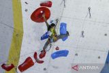 Atlet panjat tebing Jawa Timur Alma Ariella Tsany (kanan) mengikuti babak final kategori lead putri saat Kejuaraan Nasional (Kejurnas) Panjat Tebing Kelompok Umur XIX/2025 di Tangerang City Sport Climbing Center, Kota Tangerang, Banten, Sabtu (21/6/2025). Mayra Azalia Nabila berhasil menempati peringkat pertama kategori lead youth B dengan skor 41+, Alma Ariella Tsany menempati peringkat pertama kategori lead youth A dengan skor 36+ dan Najiha Zahra menempati peringkat pertama kategori lead junior dengan skor 36+. ANTARA FOTO/Putra M. Akbar/gp
