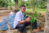 50 persen penghuni Lapas Lubuk Basung dari kasus narkoba