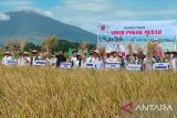Komisi IV DPR RI tinjau potensi ketahanan pangan program sawah pokok murah