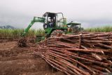Pekerja mengoperasikan alat berat pengangkut tebu di Perkebunan Jolondoro Glenmore, Banyuwangi, Jawa Timur, Senin (23/6/2025). Penggunaan mesin modern ini menjadi bagian dari upaya meningkatkan efisiensi panen dan produktivitas pertanian dalam rangka mendukung program swasembada gula nasioanal. ANTARA Jatim/Budi Candra Setya/mas.