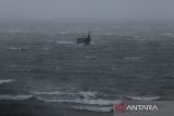 Kapal nelayan terjebak angin kencang dan gelombang tinggi saat menuju perairan pantai Ulee Lheue, Banda Aceh, Aceh,  Minggu (22/6/2025). Badan Meteorologi, Klimatologi dan Geofisika (BMKG) di daerah itu mengelurkan peringatan dini potensi angin kencang disertai gelombang  kategori sedang hingga tinggi  di perairan Sabang dan Samudera Hindia Barat Aceh mencapai  2,4 meter hingga 3,1 meter  yang berlangsung hingga tanggal 25 Juni 2025. ANTARA FOTO/Ampelsa.