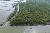 Govt conducting study to set new mangrove restoration goal