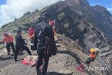 Tim SAR temukan wisatawan Brasil jatuh di Gunung Rinjani Lombok