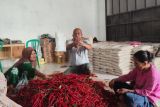 BRI salurkan pembiayaan kepada koperasi penyuplai bahan pangan MBG