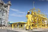 PLN Batam umumkan 60 kuota beasiswa Sahabat Terang