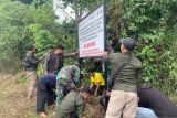 Satgas PKH tertibkan 9.200 ha Kawasan Ilegal di TN Lore Lindu