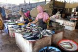 Mataram alokasikan Rp600 juta bangun pasar ikan higienis